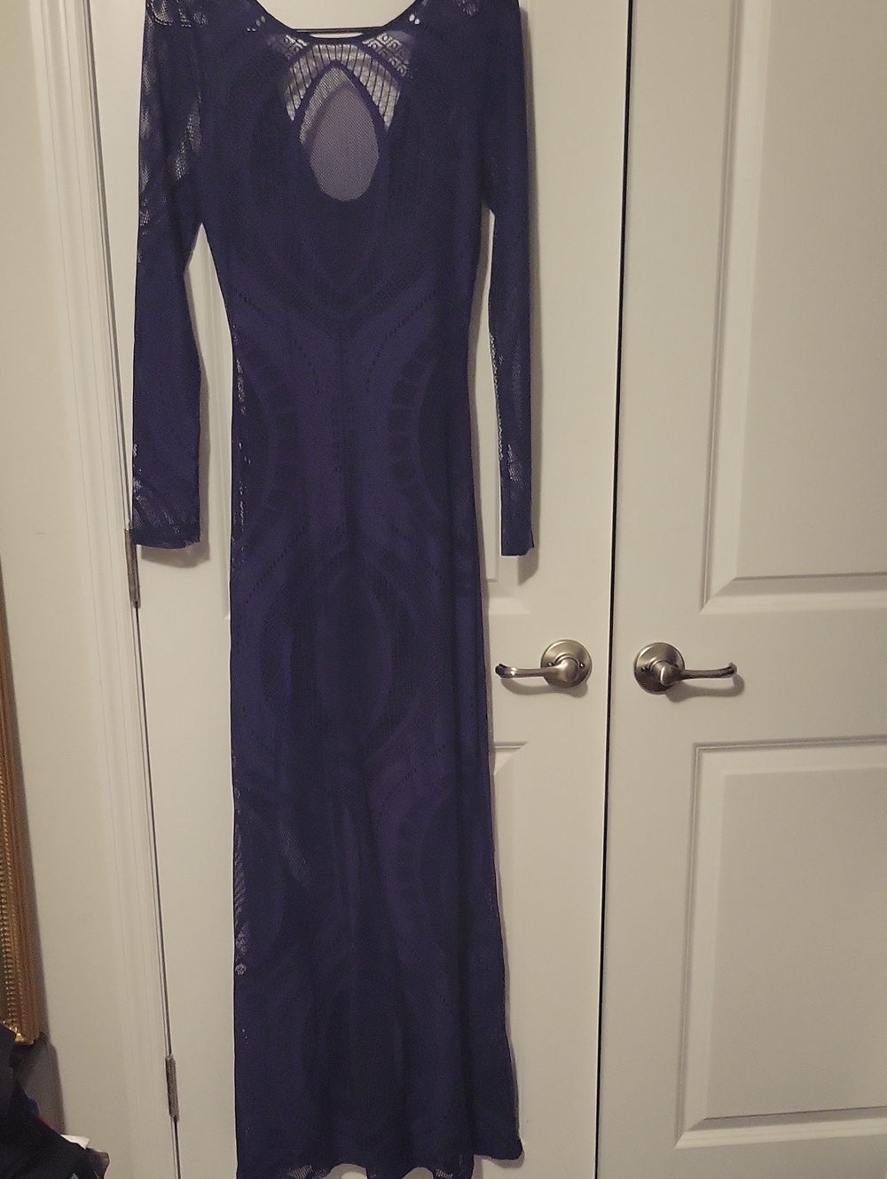 Lulu E Bebe Long Sleeve Sheer Panel Maxi Dress in Deep Purple